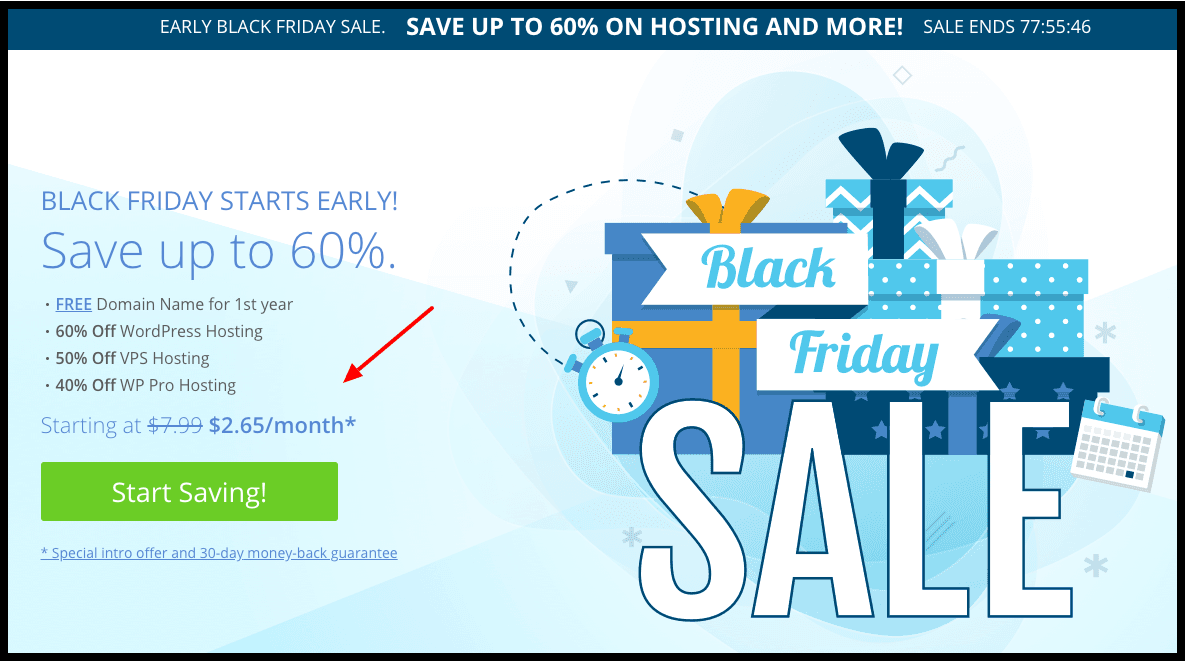 Bluehost Black Friday Deals