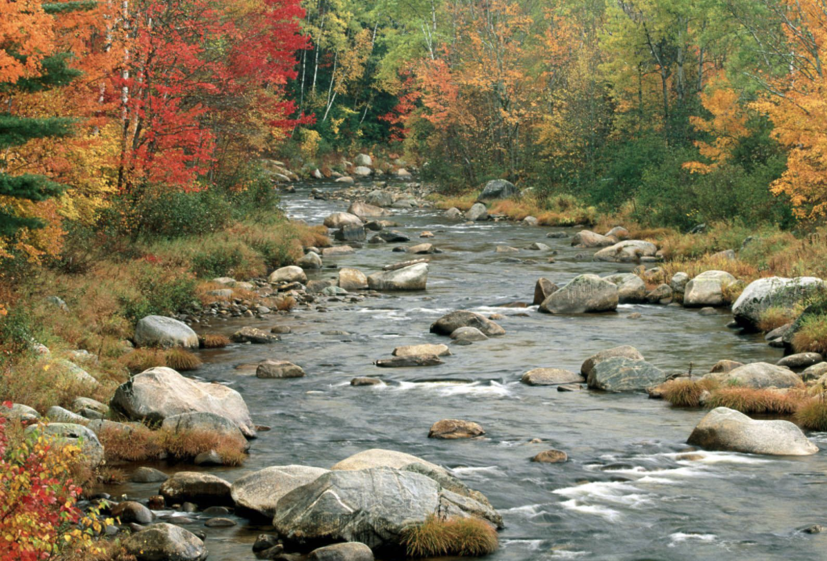 Rivers edge backdrop: Youtube Backdrops