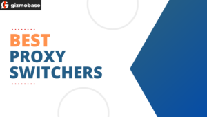 Best Proxy Switchers